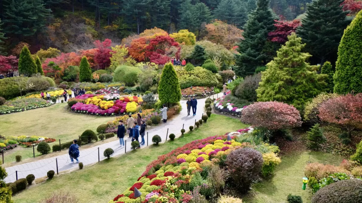 Garden of Morning Calm